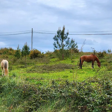Gospodarstwo wiejskie Casa Avo Judite - Castelo